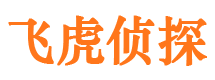 鸠江市侦探调查公司